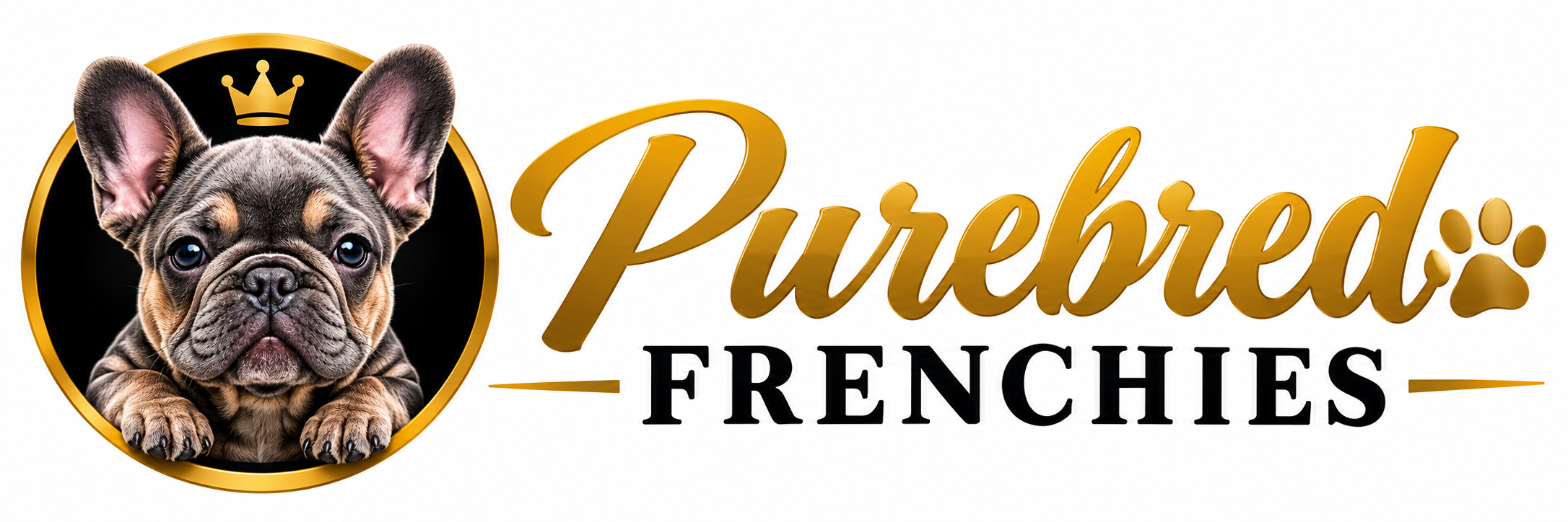 Purebred Frenchies